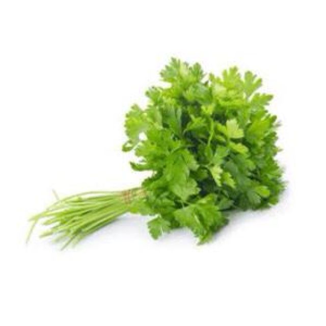 కొత్తిమీర , Fresh Coriander Leaves - 1 కట్ట ( Bunch)
