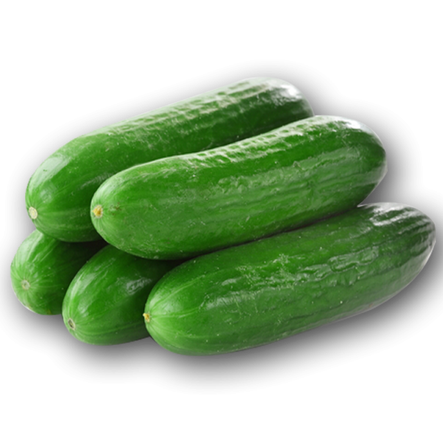కీర కాయ  (Fresh Cucumber)