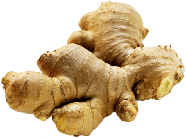అల్లం (Fresh Ginger )