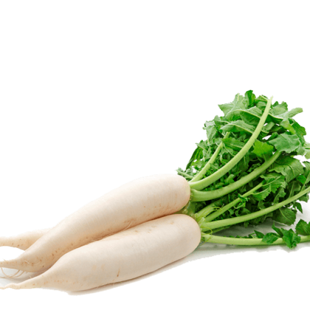 ముల్లంగి  (Fresh Radish) - 500gm