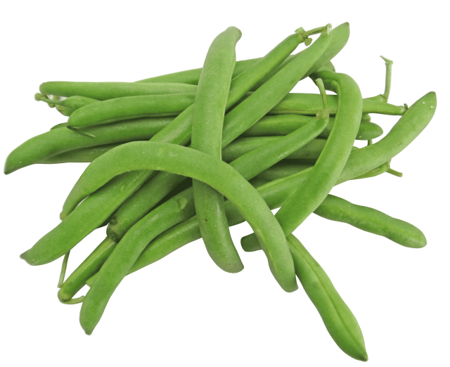 Fresh Beans