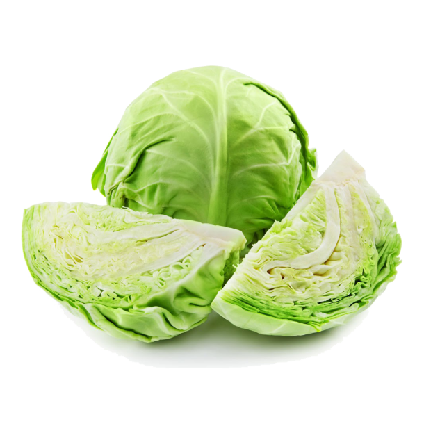 Fresh Cabbage