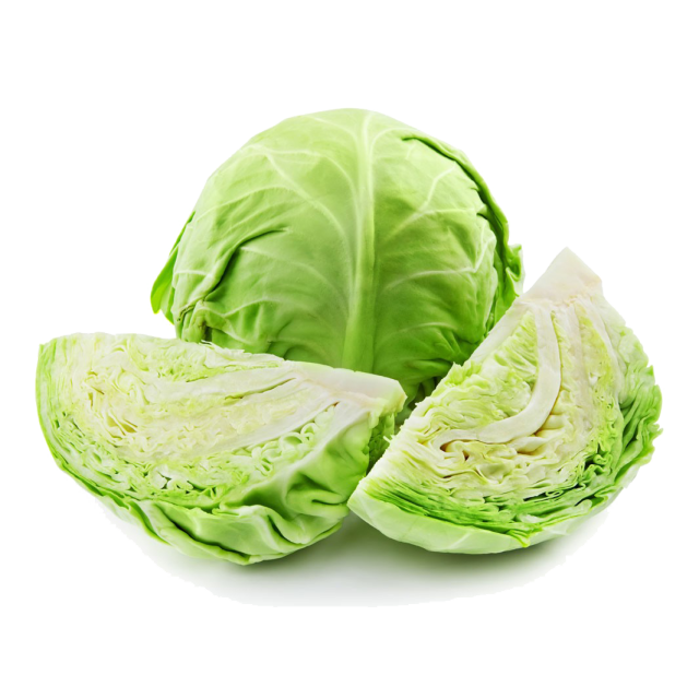 Fresh Cabbage