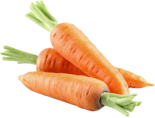 Fresh Carrot